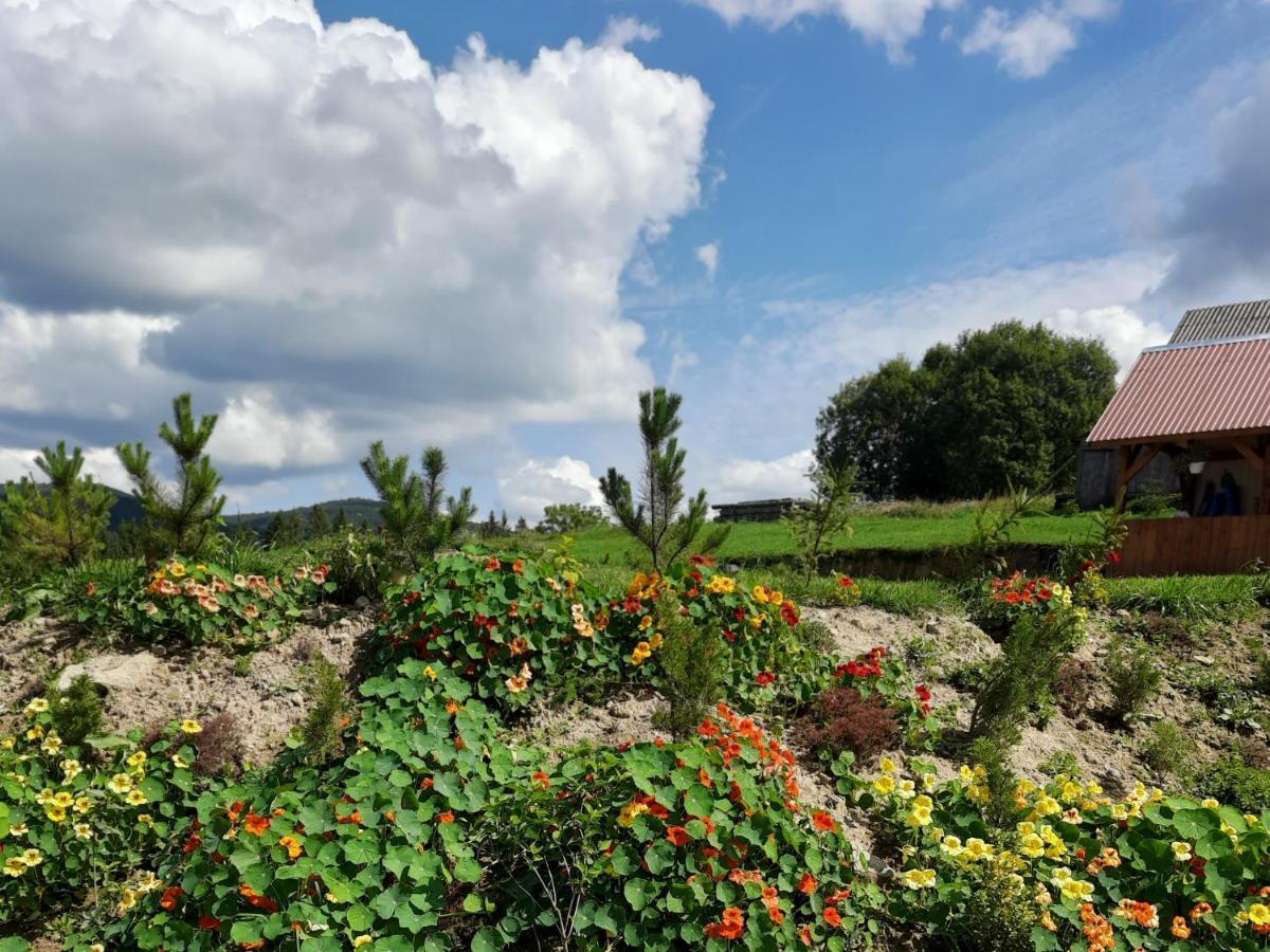 Villa Омріяні Карпати Smozhe Exterior foto