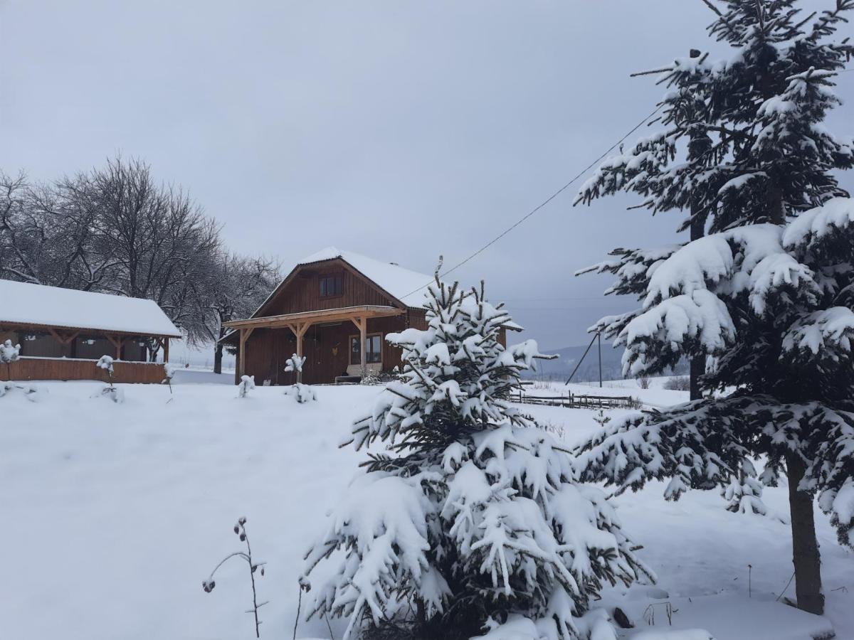 Villa Омріяні Карпати Smozhe Exterior foto